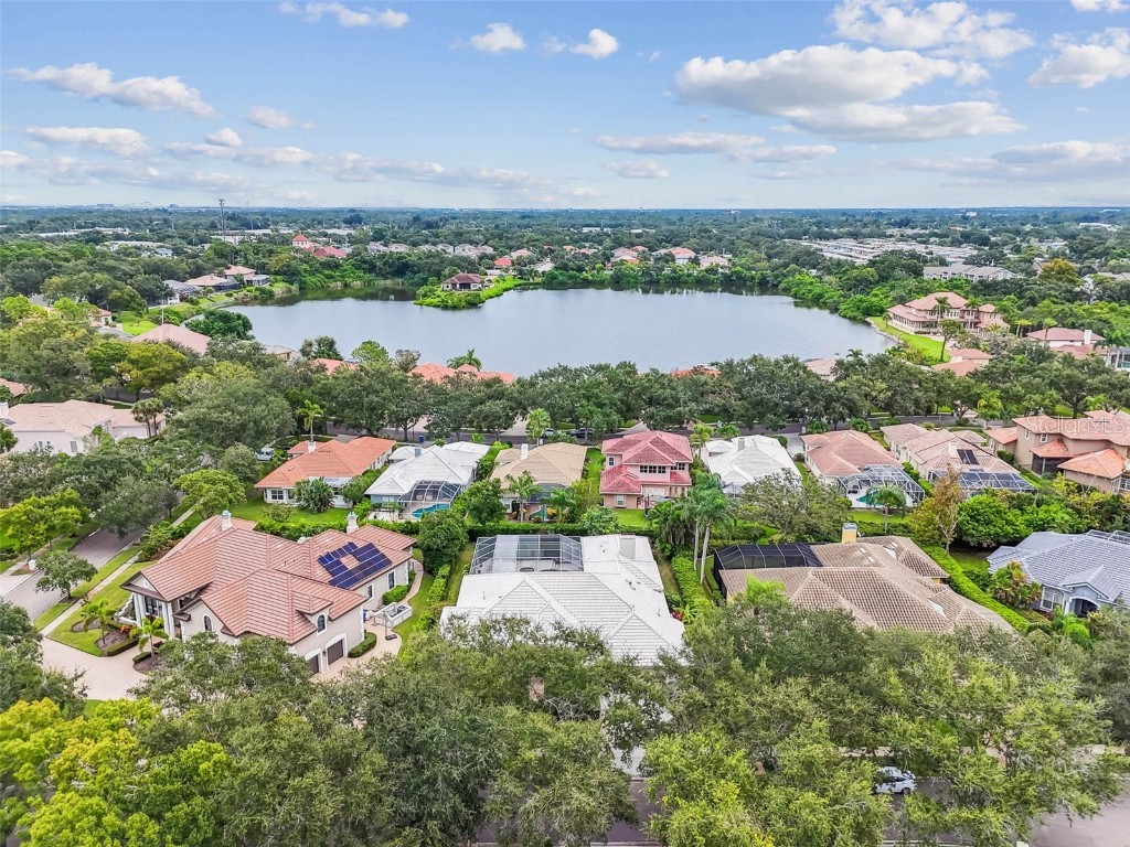 8675 Buttonwood Lane N Pinellas Park FL 33782 TB8434083 image25