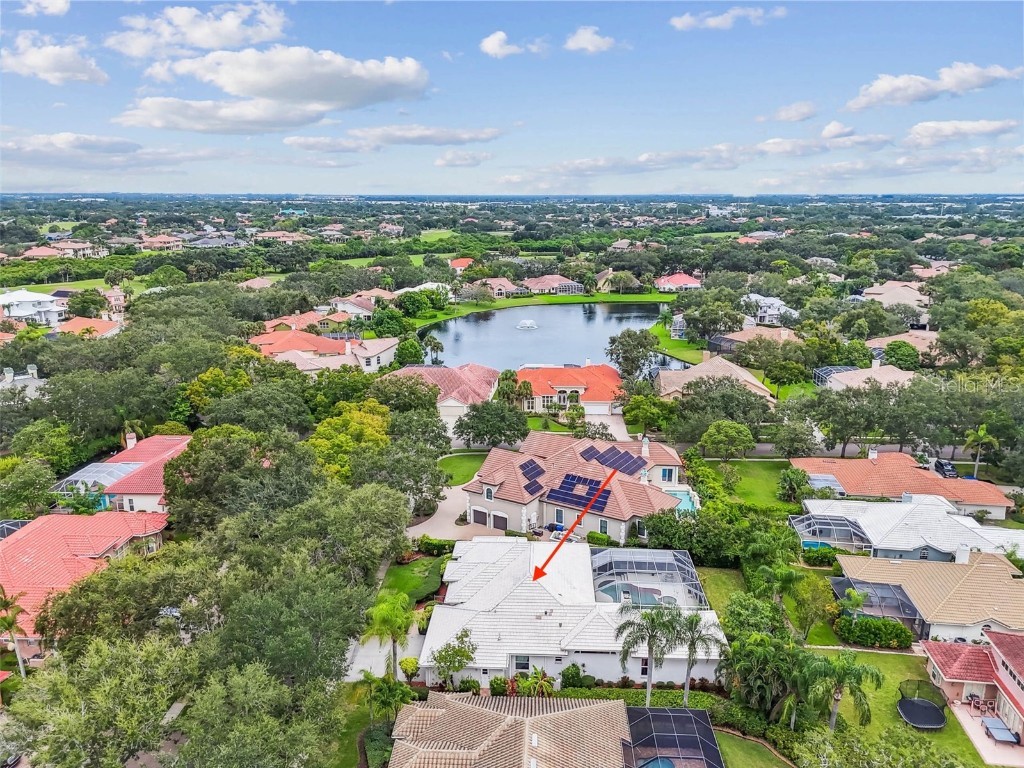 8675 Buttonwood Lane N Pinellas Park FL 33782 TB8434083 image6