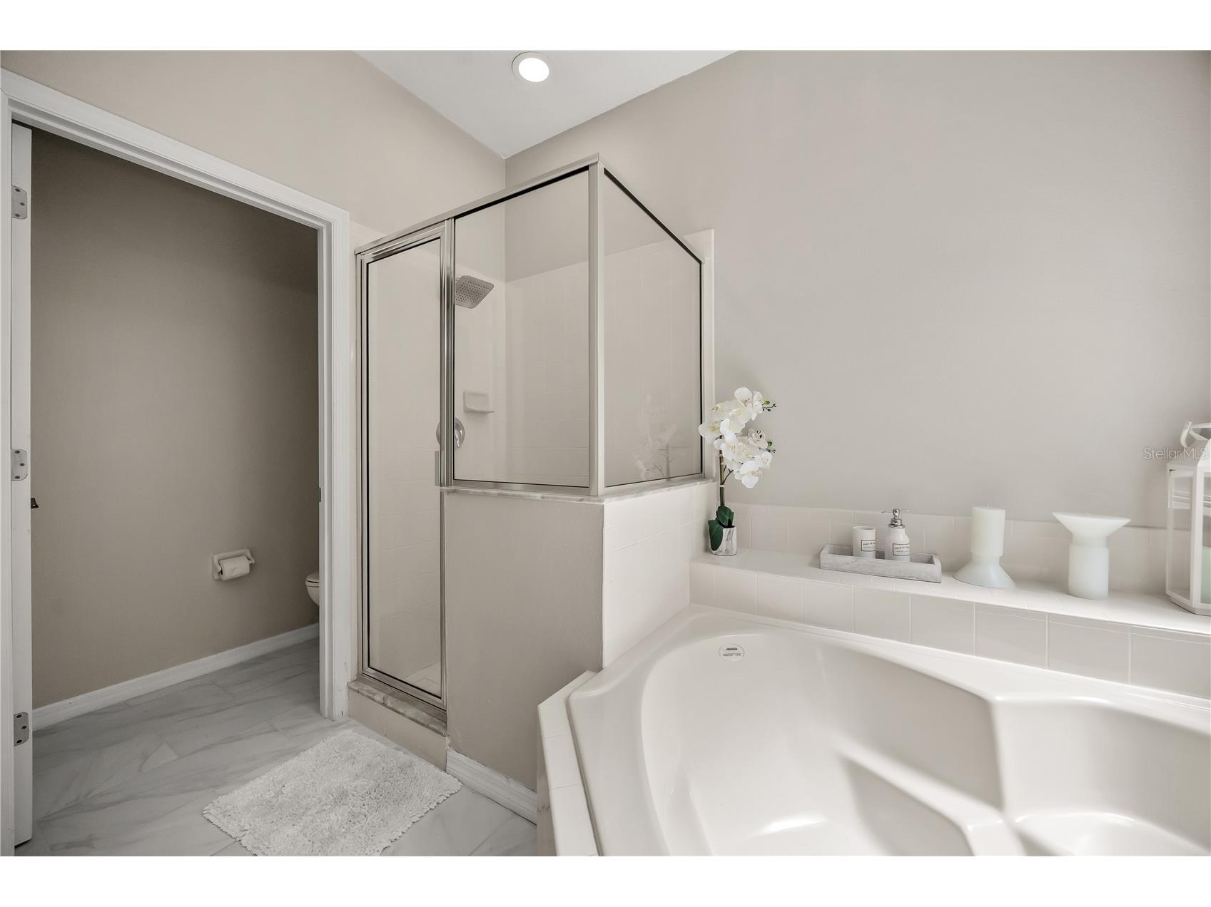 8675 La Isla Drive Kissimmee FL 34747 O6415825 image29