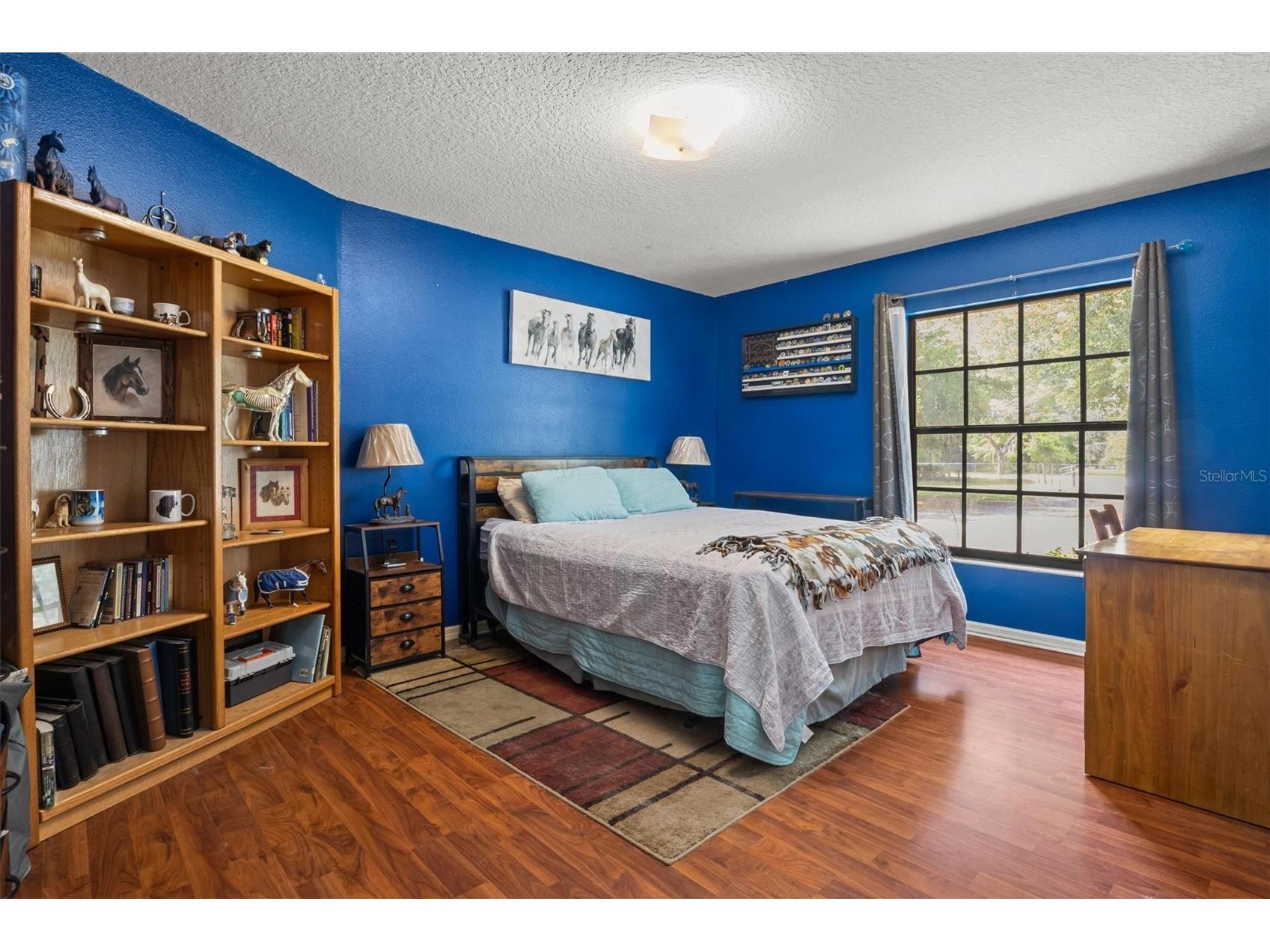 8675 Tom Costine Road Lakeland FL 33809 L4962622 image22