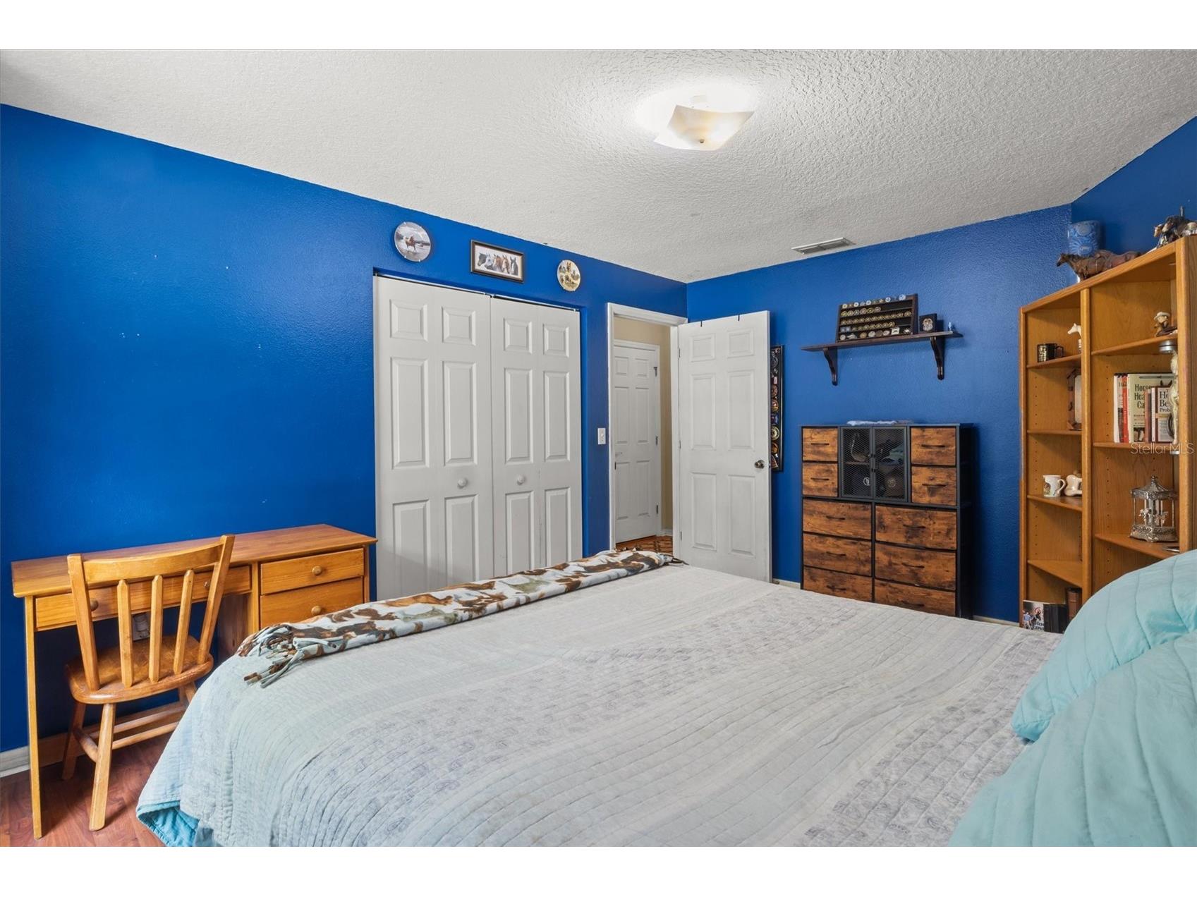 8675 Tom Costine Road Lakeland FL 33809 L4962622 image23