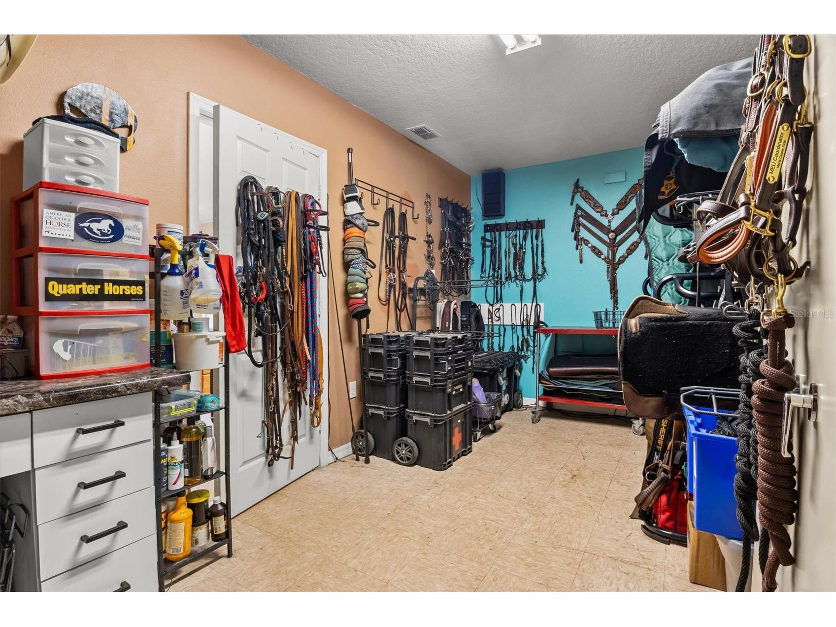 8675 Tom Costine Road Lakeland FL 33809 L4962622 image34