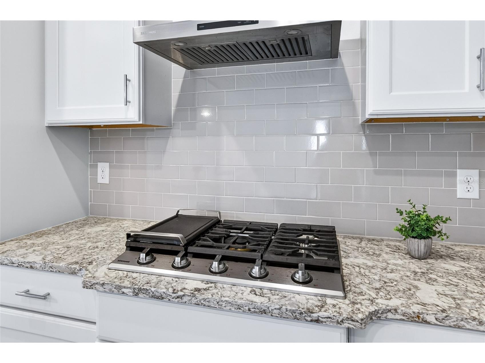 8677 Bridgeport Bay Circle Mount Dora FL 32757 G5106927 image8