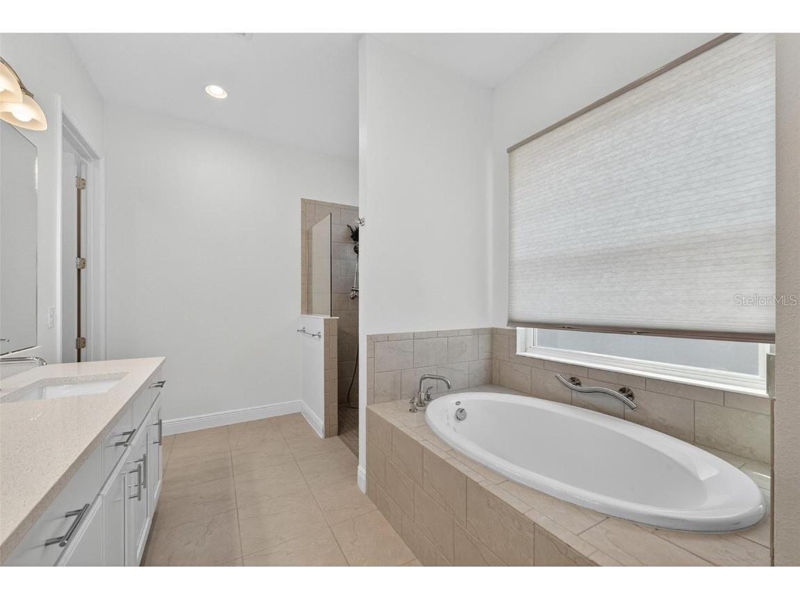 8677 Bridgeport Bay Circle Mount Dora FL 32757 O6348415 image43