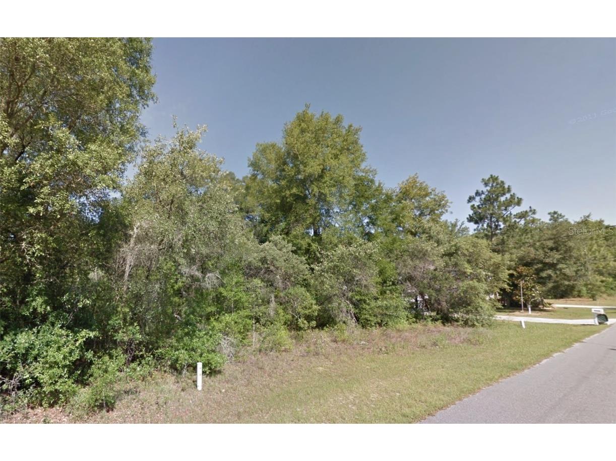 8678 N Farragut Way Citrus Springs FL 34434 C7492360 image1