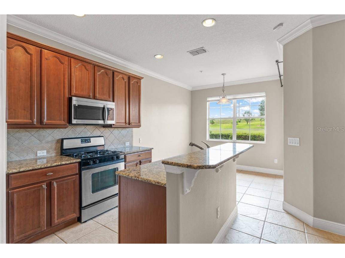 868 Assembly Court Reunion FL 34747 S5135893 image13