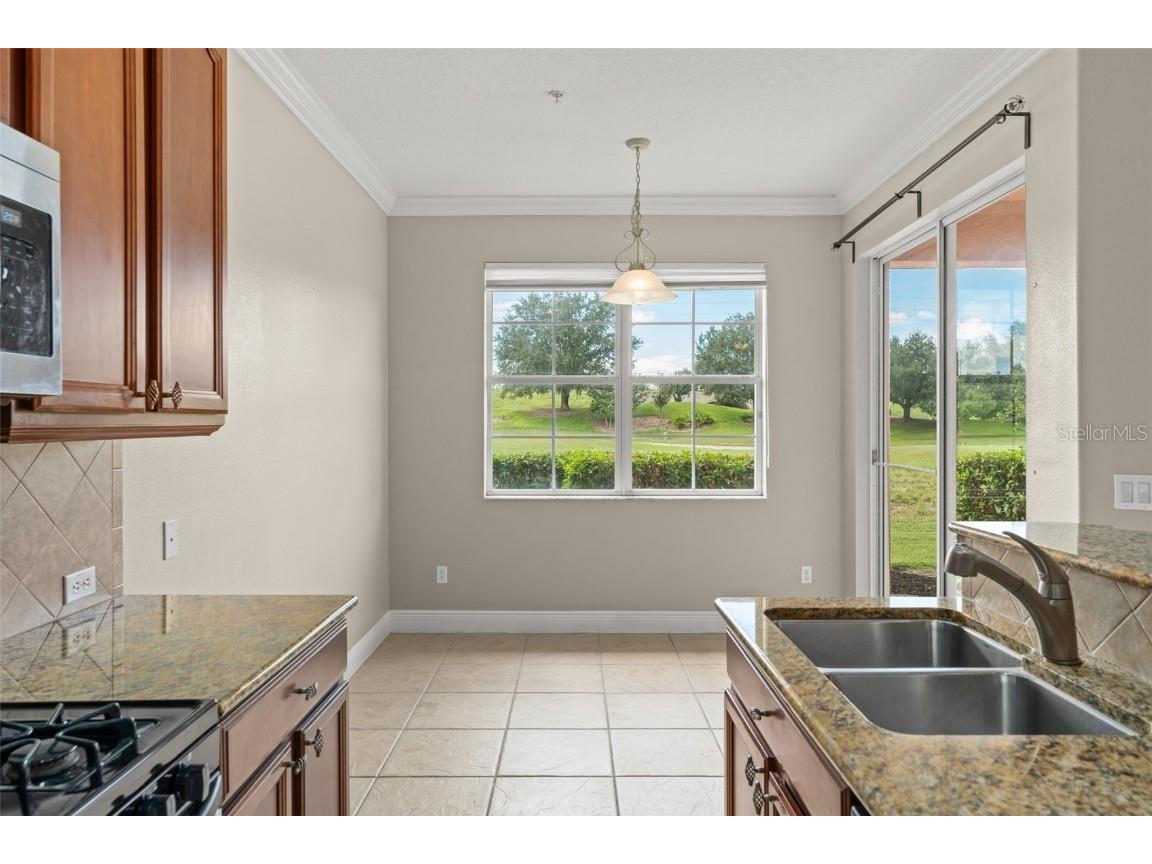 868 Assembly Court Reunion FL 34747 S5135893 image14