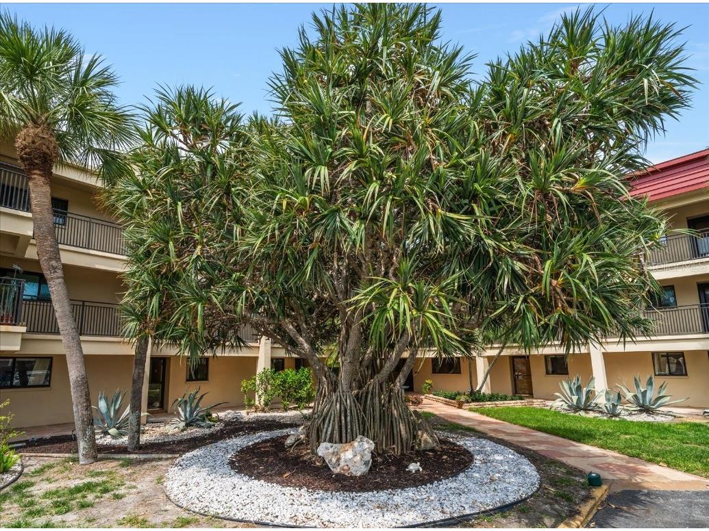 868 Bayway Boulevard #206 Clearwater Beach FL 33767 - INTRACOASTAL TB8382760 image37