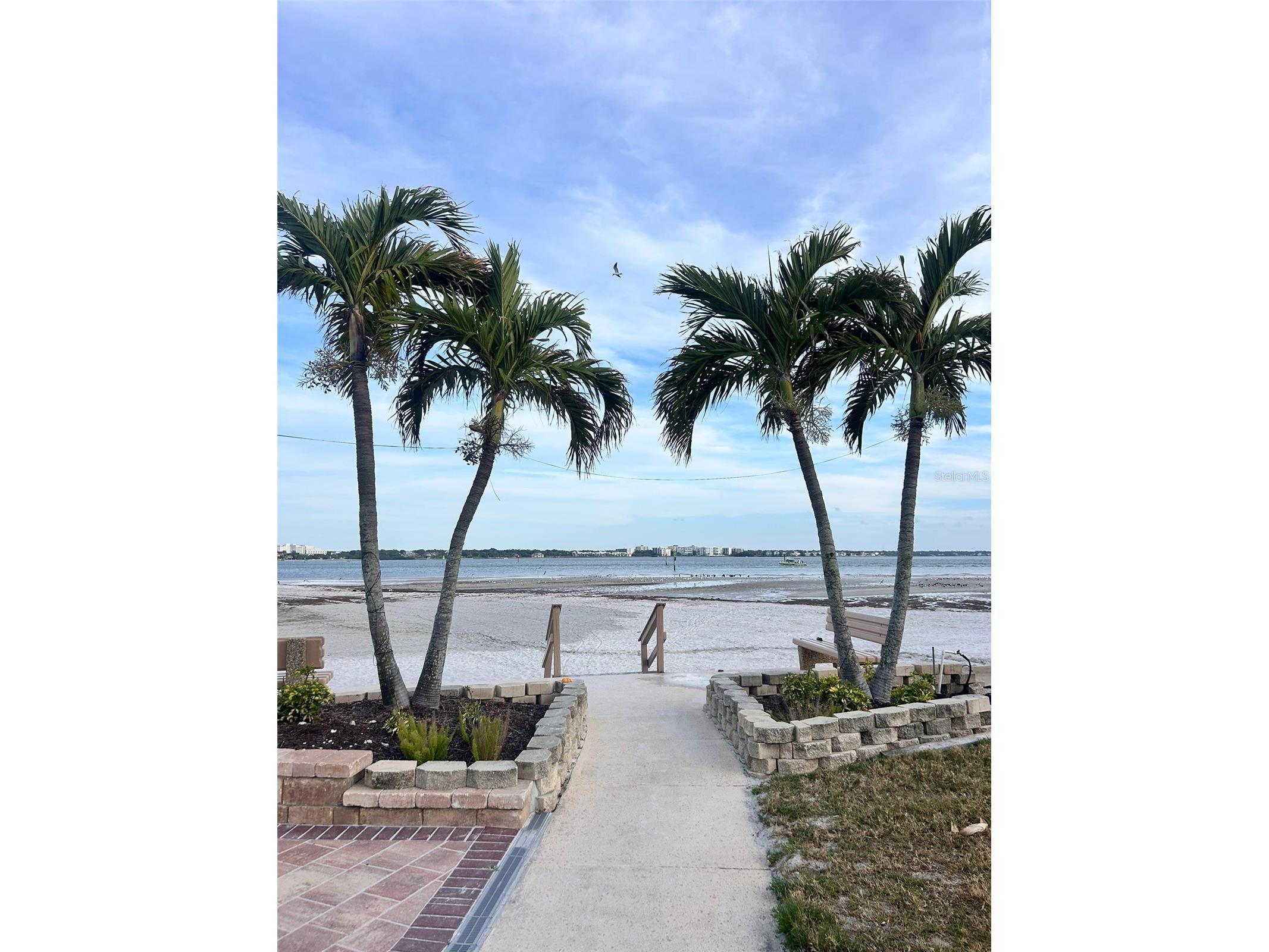 868 Bayway Boulevard #304 Clearwater Beach FL 33767 TB8494289 image67