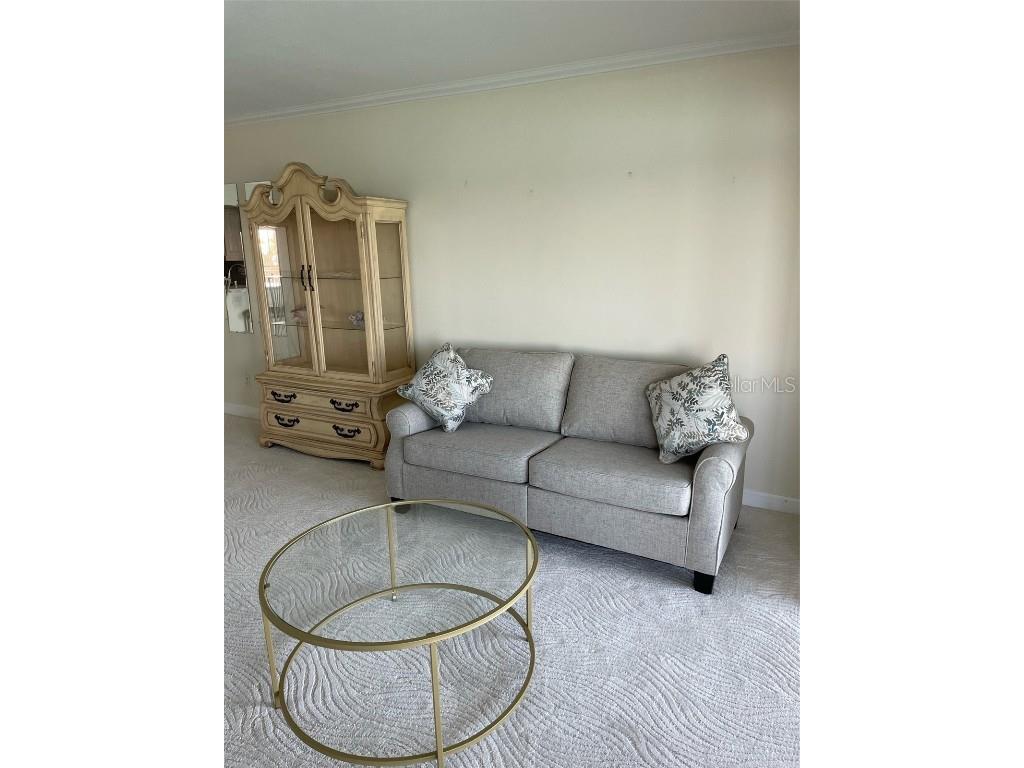 868 Bayway Boulevard #312 Clearwater FL 33767 - CLEARWATER BAY U8169958 image21