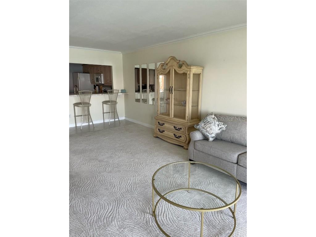 868 Bayway Boulevard #312 Clearwater FL 33767 - CLEARWATER BAY U8169958 image22