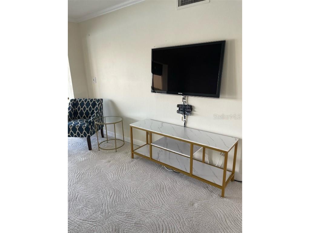 868 Bayway Boulevard #312 Clearwater FL 33767 - CLEARWATER BAY U8169958 image23