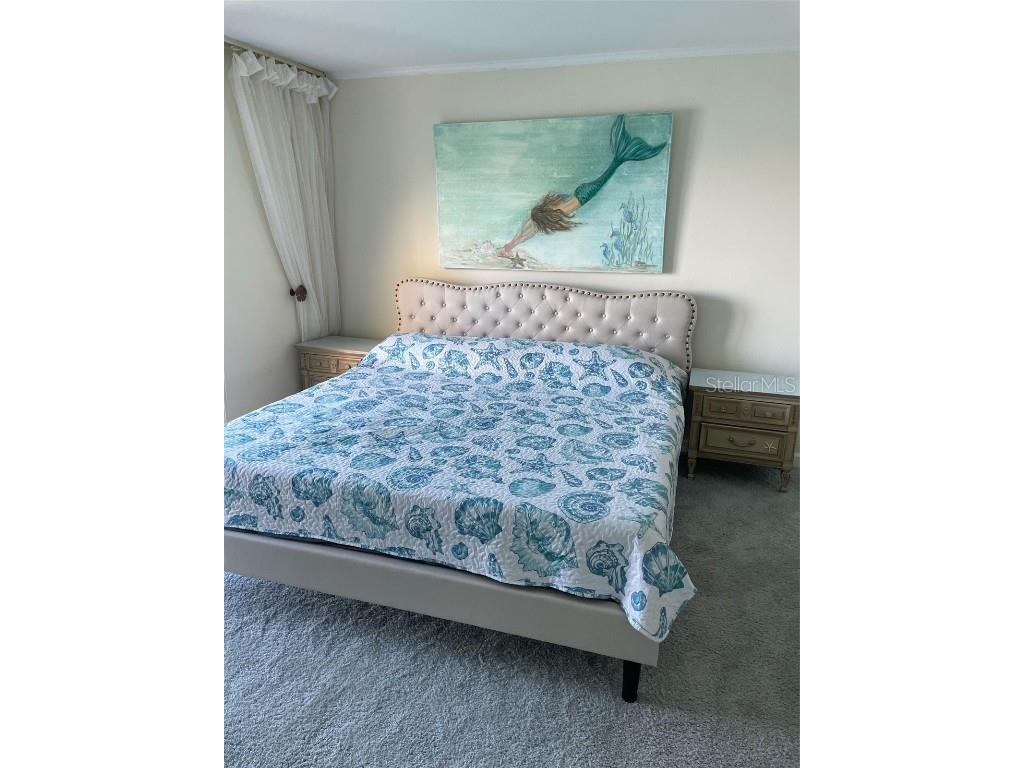 868 Bayway Boulevard #312 Clearwater FL 33767 - CLEARWATER BAY U8169958 image27