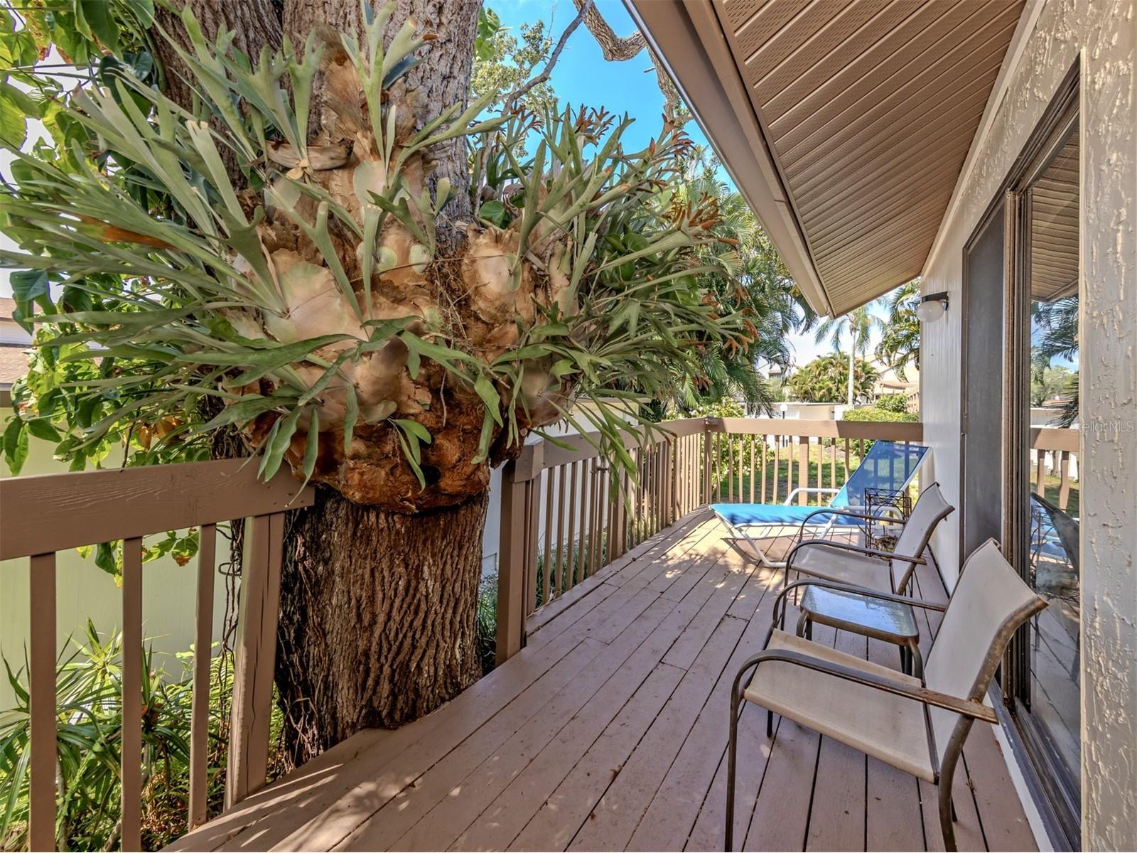 868 Bird Bay Way #197 Venice FL 34285 A4693292 image3