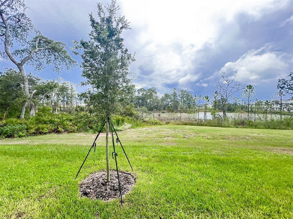 868 Longboat Drive Davenport FL 33896 O6359493 image20