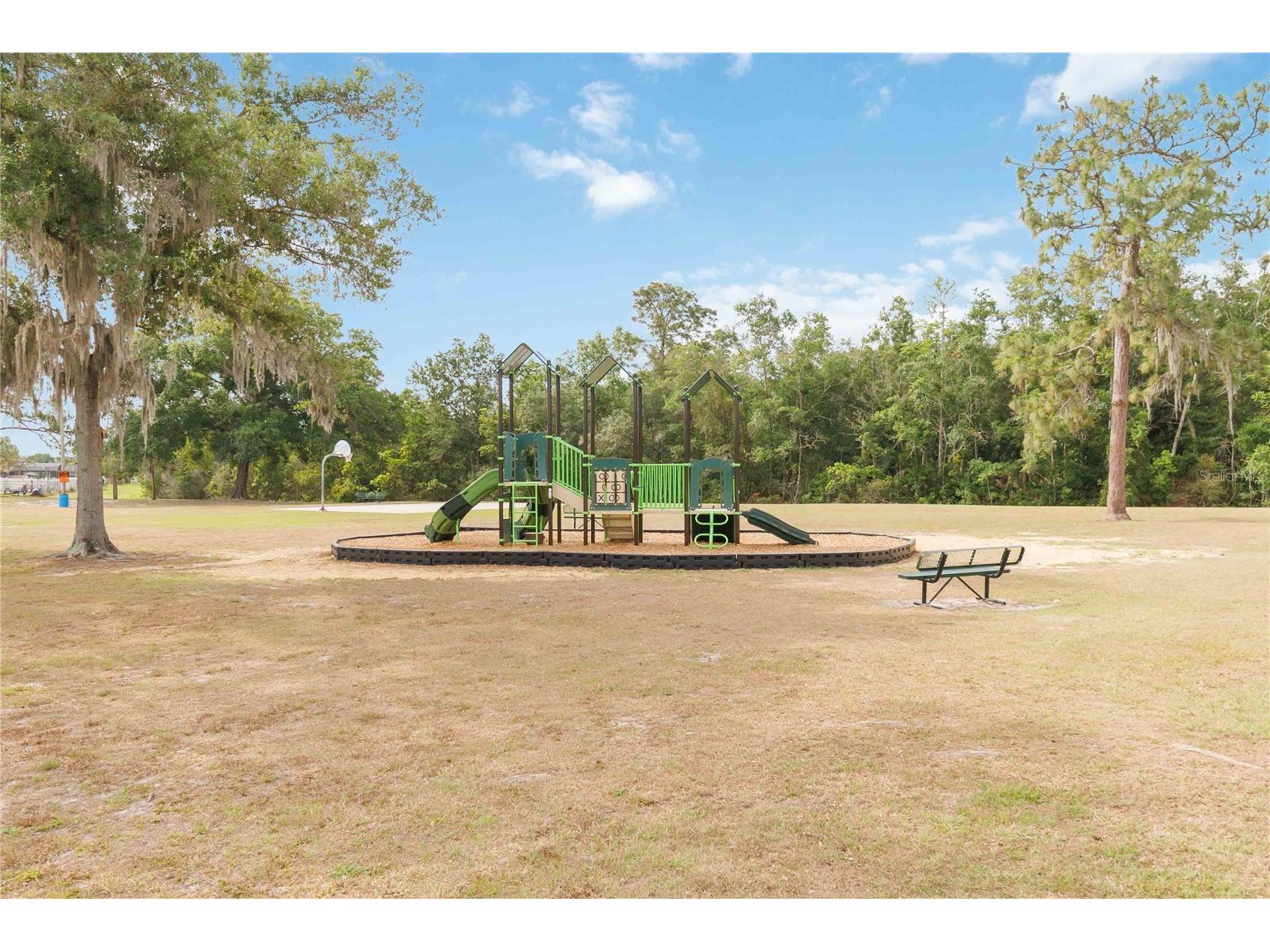 868 Nelson Drive Kissimmee FL 34758 O6407274 image31