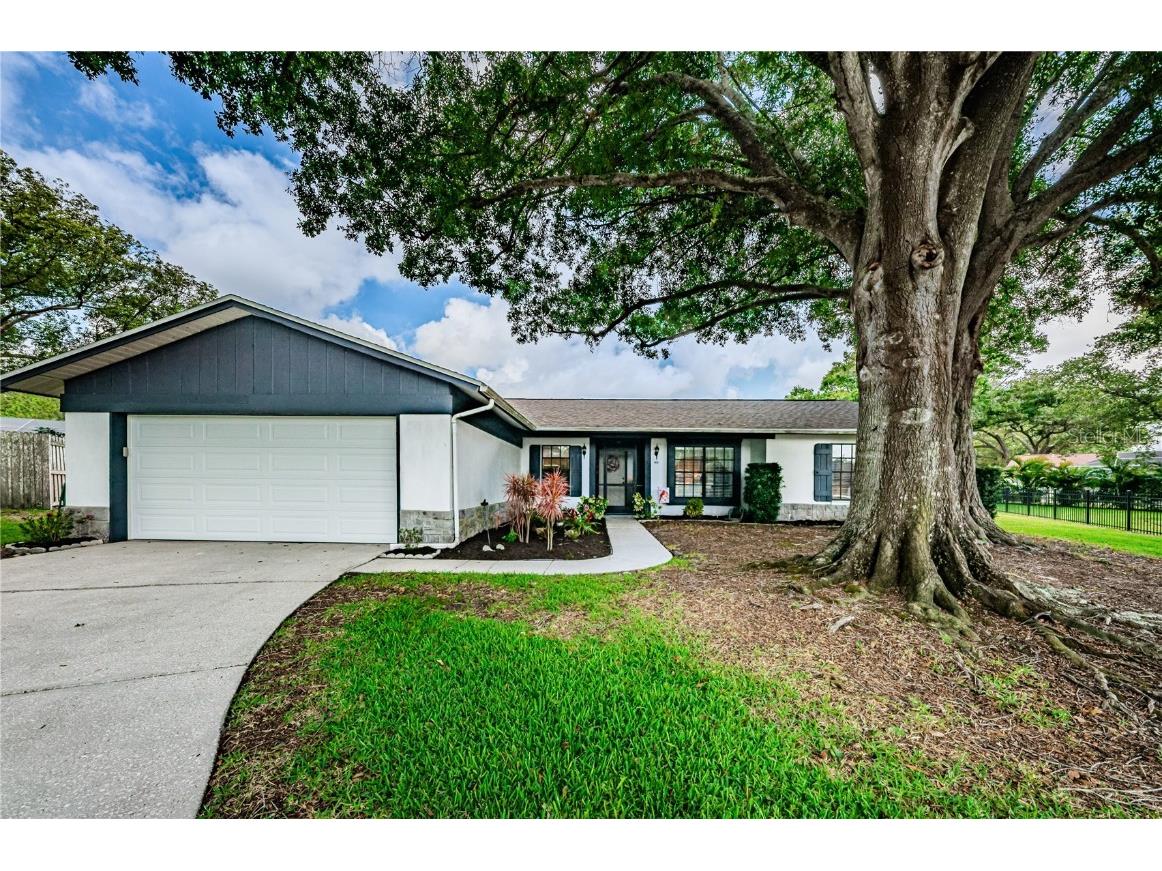 868 Trailwood Court Palm Harbor FL 34684 T3452627 image1