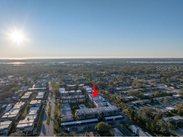 8681 Bardmoor Boulevard #208C Seminole FL 33777 TB8435017 image37