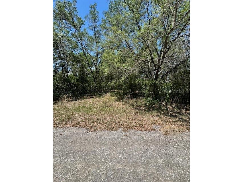 8681 N Catapane Loop Crystal River FL 34428 W7885194 image1