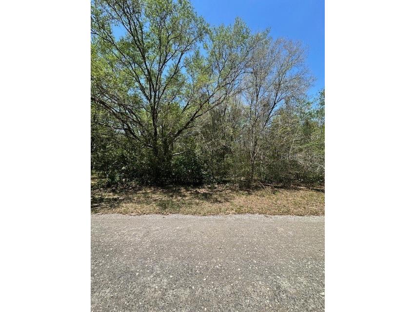 8681 N Catapane Loop Crystal River FL 34428 W7885194 image2