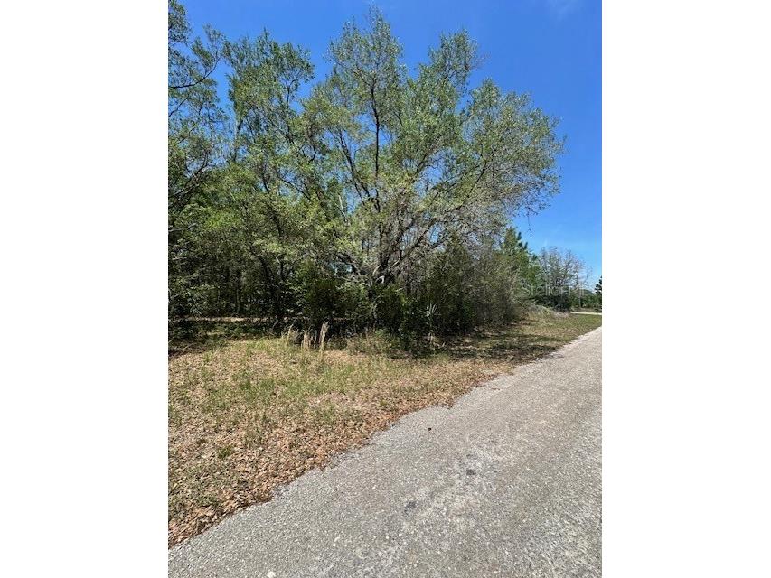 8681 N Catapane Loop Crystal River FL 34428 W7885194 image3