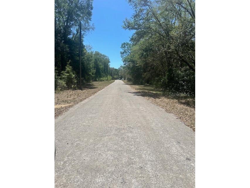 8681 N Catapane Loop Crystal River FL 34428 W7885194 image4