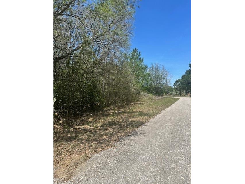 8681 N Catapane Loop Crystal River FL 34428 W7885194 image5