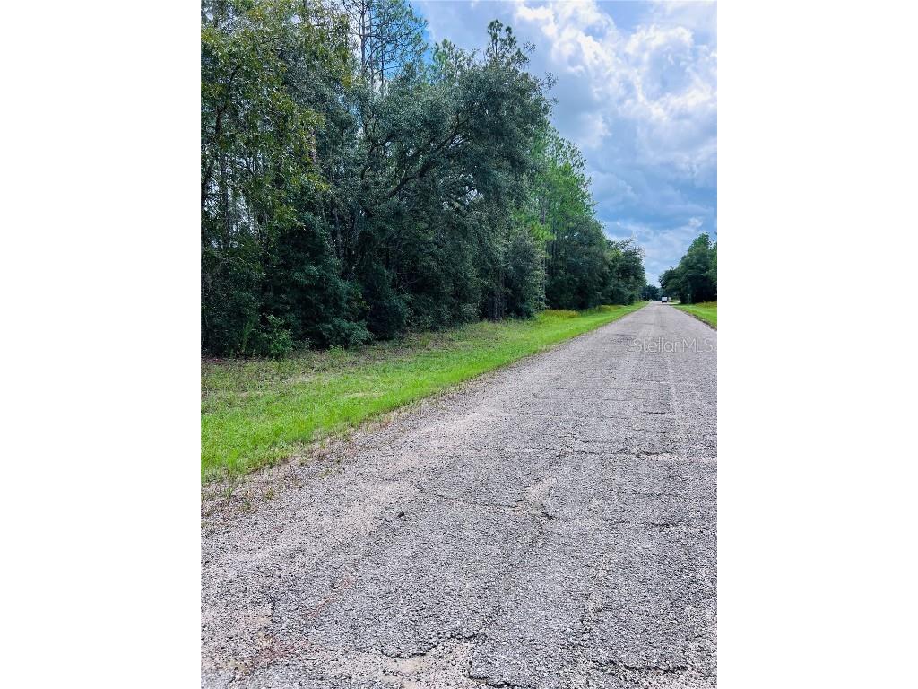 8681 N Wallingford Avenue Citrus Springs FL 34434 W7867845 image3