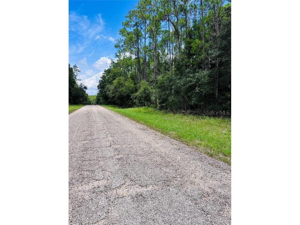 8681 N Wallingford Avenue Citrus Springs FL 34434 W7867845 image4