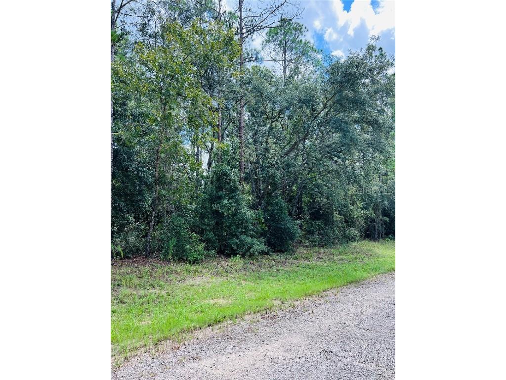 8681 N Wallingford Avenue Citrus Springs FL 34434 W7867845 image5