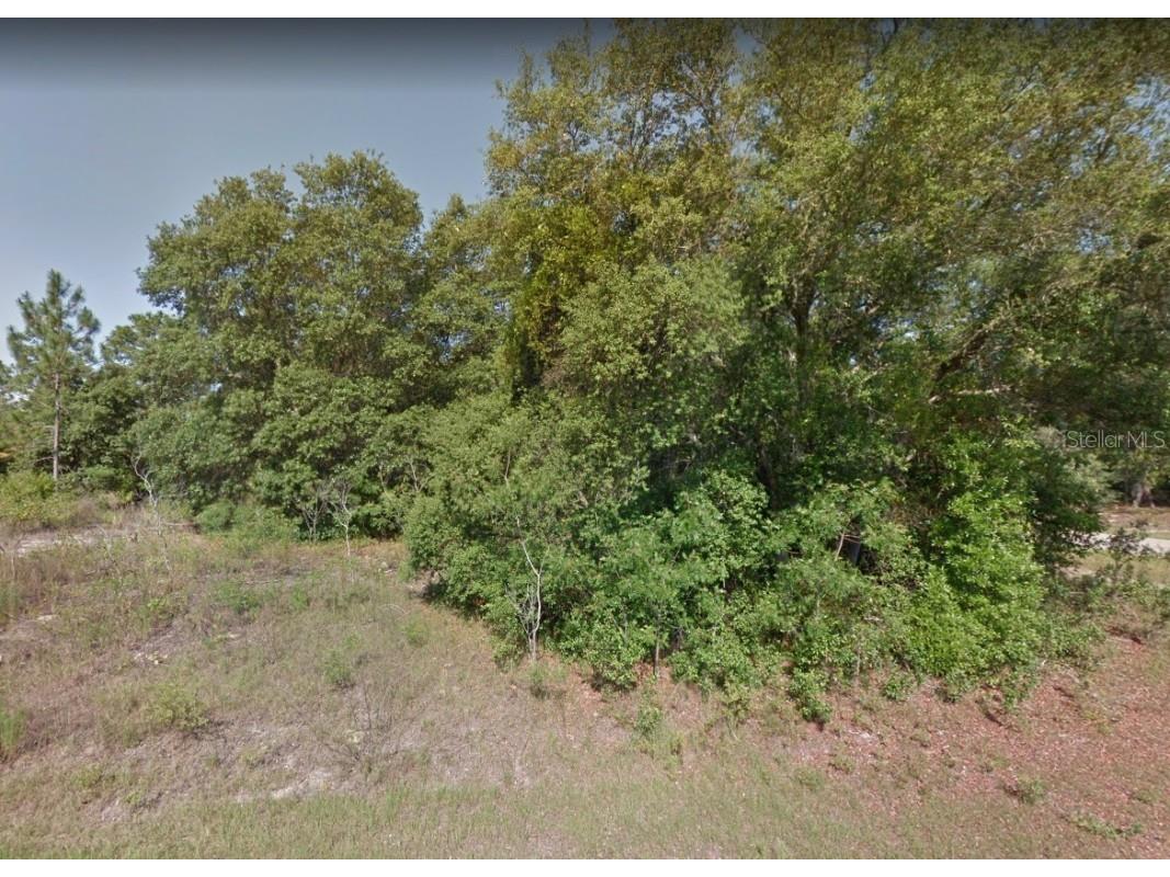 8682 N Spartan Drive Citrus Springs FL 34433 A4532921 image1