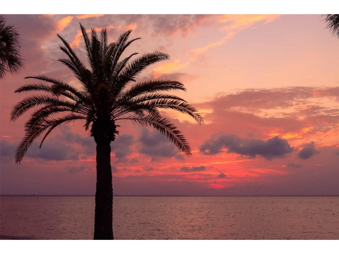 8683 Holly Grove Court #CALISTOGA Riverview FL 33578 O6298675 image33