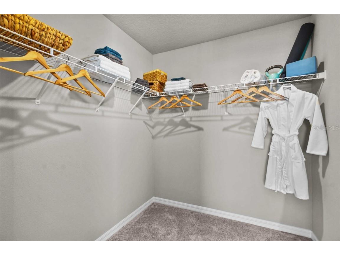 8683 Holly Grove Court #OAKVILLE Riverview FL 33578 O6298694 image14