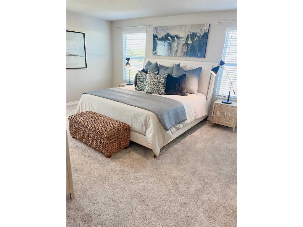 8683 Holly Grove Court #OAKVILLE Riverview FL 33578 O6298694 image19