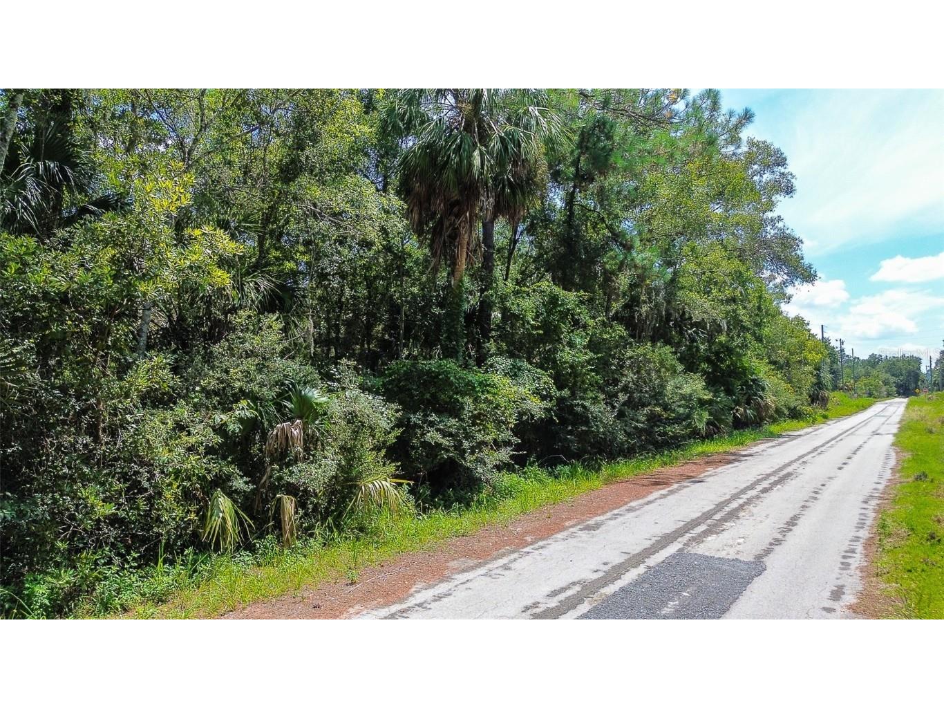 8683 N Bellflower Way Crystal River FL 34428 TB8419504 image12