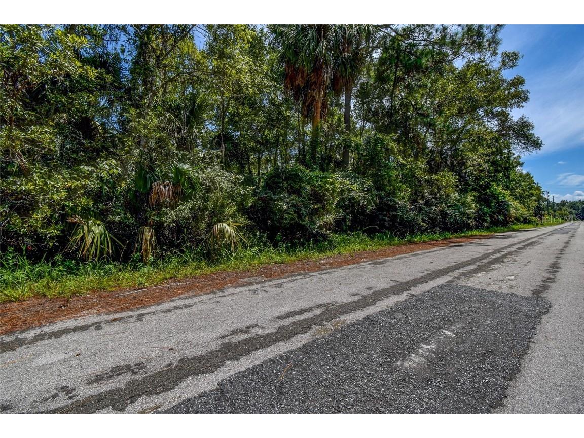 8683 N Bellflower Way Crystal River FL 34428 TB8419504 image13