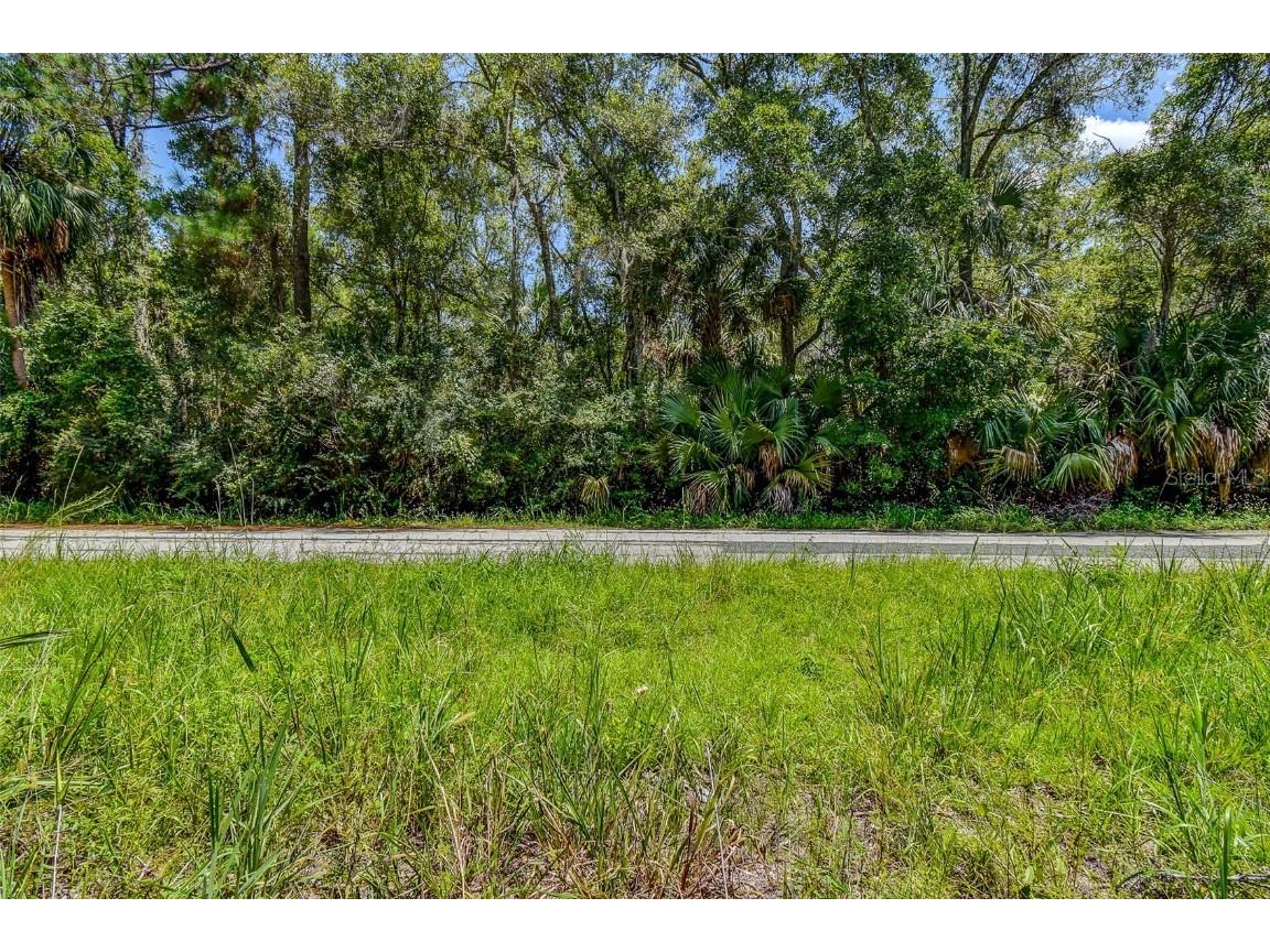 8683 N Bellflower Way Crystal River FL 34428 TB8419504 image15