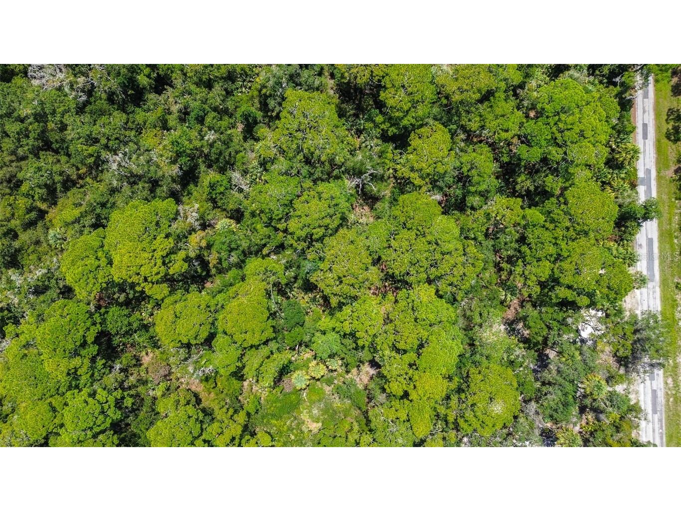 8683 N Bellflower Way Crystal River FL 34428 TB8419504 image9