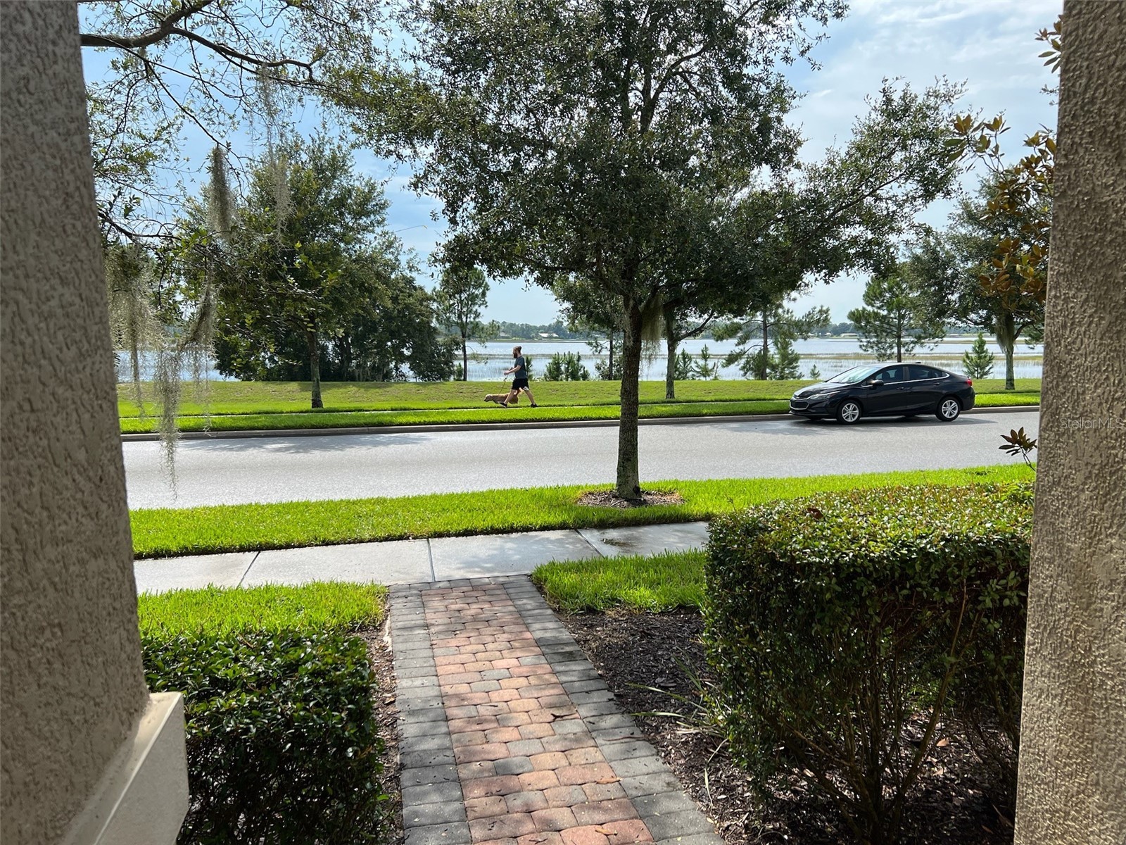 8685 Bayview Crossing Drive Winter Garden FL 34787 - HICKORY NUT O6394975 image2