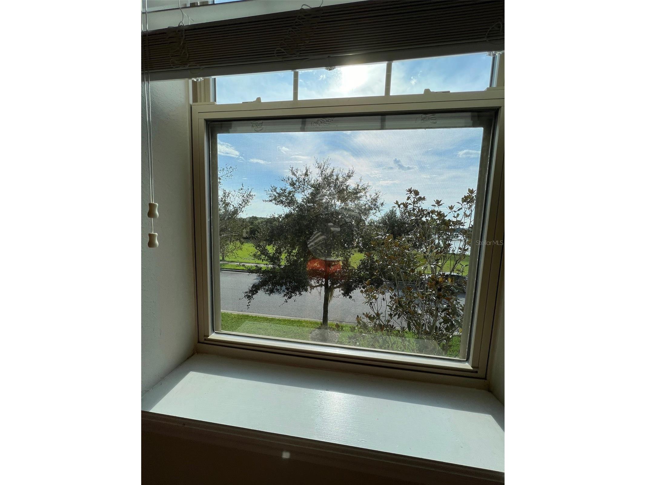 8685 Bayview Crossing Drive Winter Garden FL 34787 - HICKORY NUT O6394975 image25