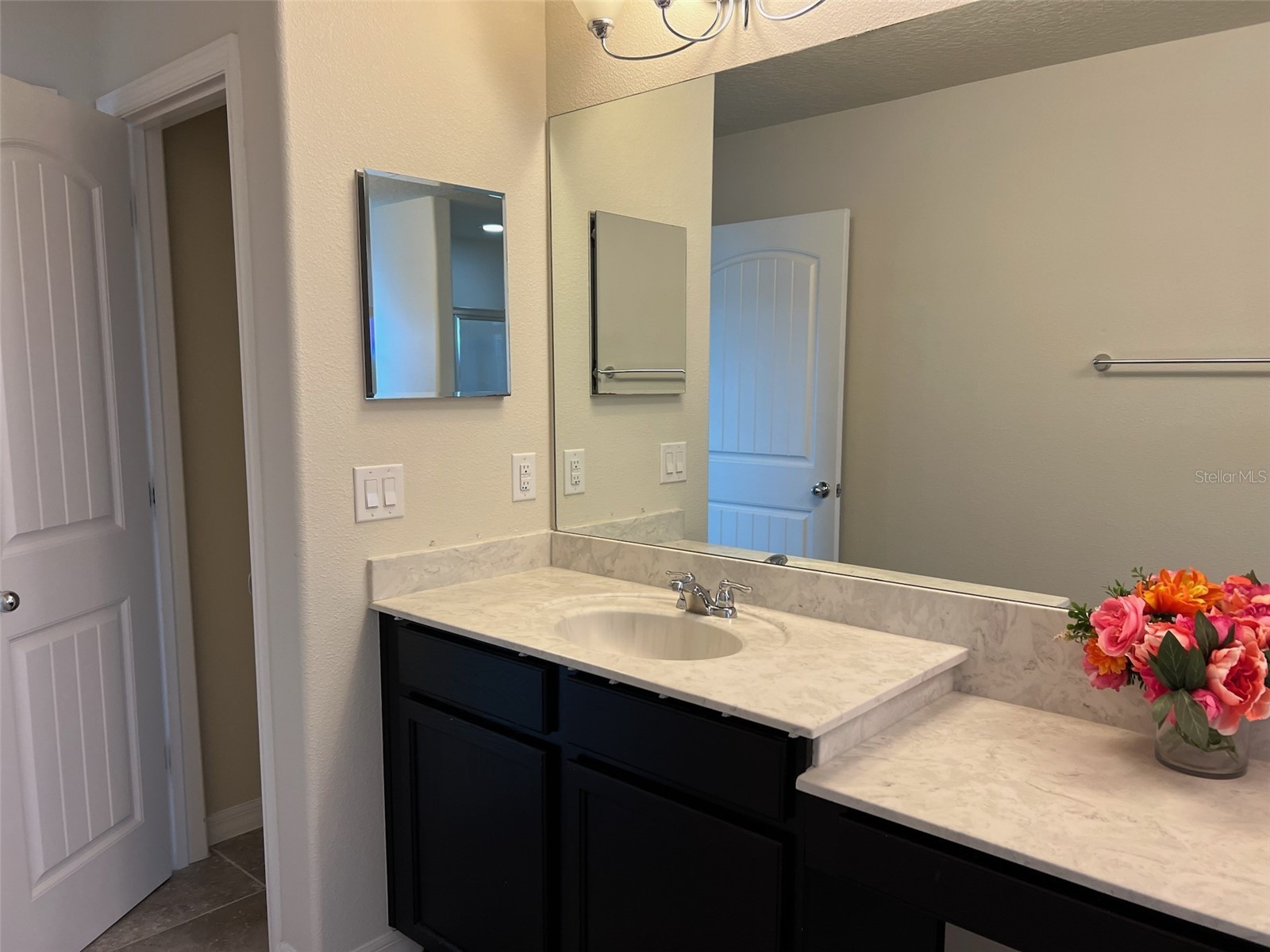 8685 Bayview Crossing Drive Winter Garden FL 34787 - HICKORY NUT O6394975 image28