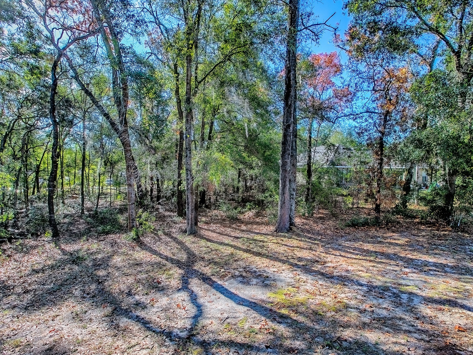 8686 SE 158th Street Summerfield FL 34491 G5106498 image32