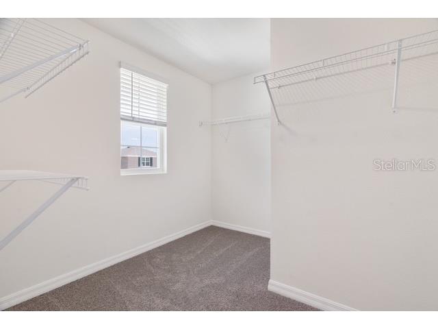 8686 SW 44th Terrace Ocala FL 34476 OM728033 image10