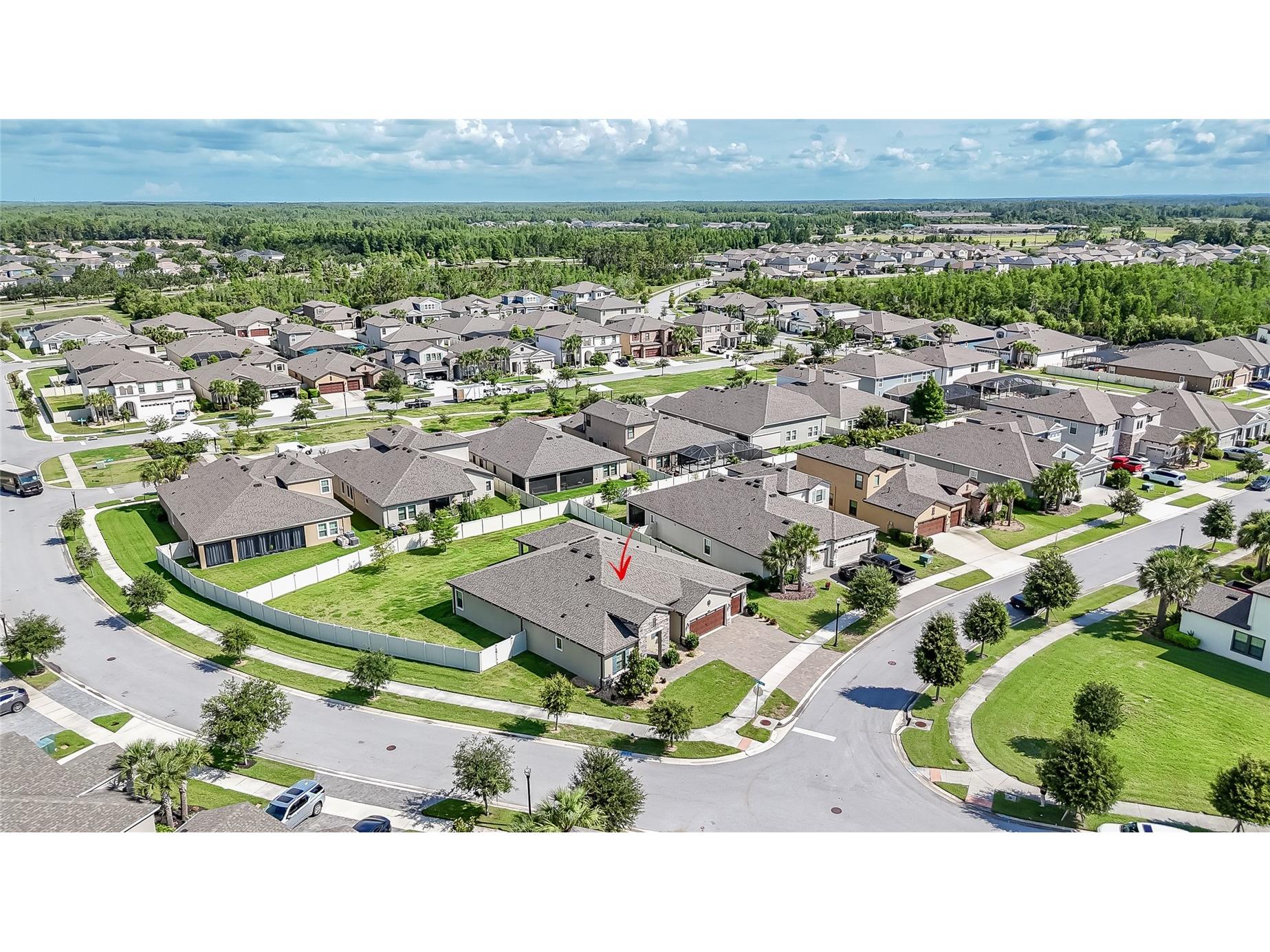 8687 Birchleaf Court Court Land O Lakes FL 34637 TB8519580 image2