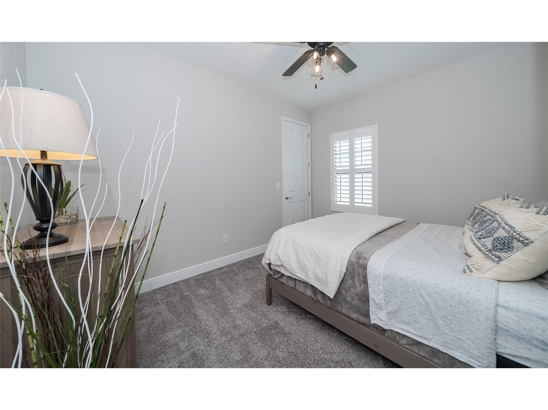 8687 Birchleaf Court Court Land O Lakes FL 34637 TB8519580 image21