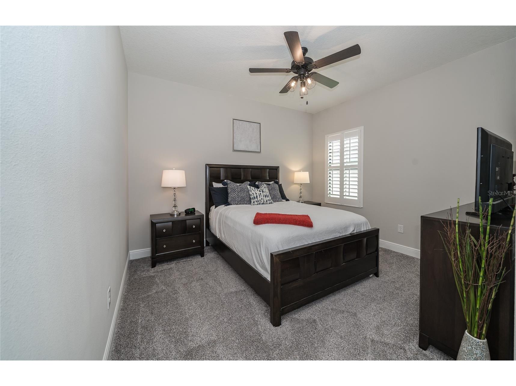 8687 Birchleaf Court Court Land O Lakes FL 34637 TB8519580 image23