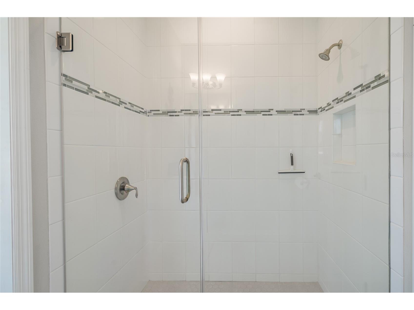 8687 Birchleaf Court Court Land O Lakes FL 34637 TB8519580 image25