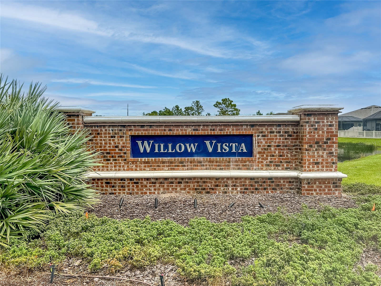 8687 Birchleaf Court Court Land O Lakes FL 34637 TB8519580 image27