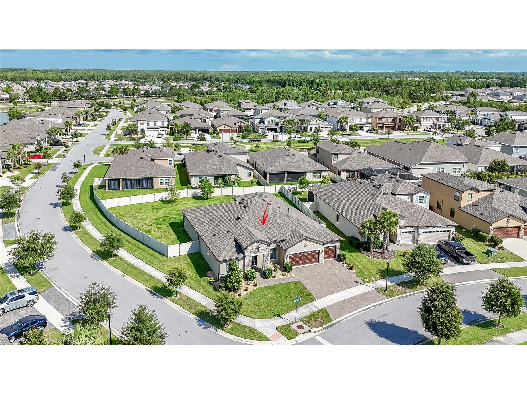 8687 Birchleaf Court Court Land O Lakes FL 34637 TB8519580 image28