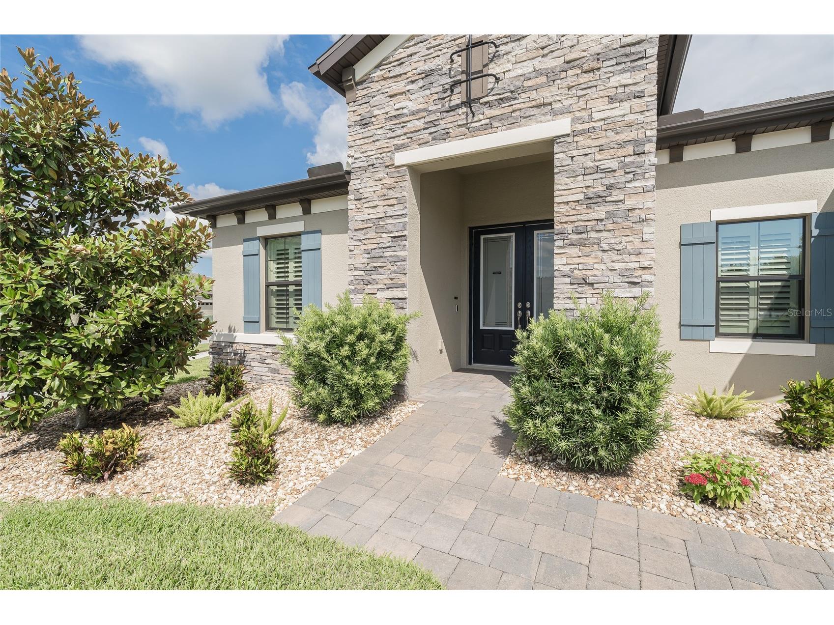 8687 Birchleaf Court Court Land O Lakes FL 34637 TB8519580 image4